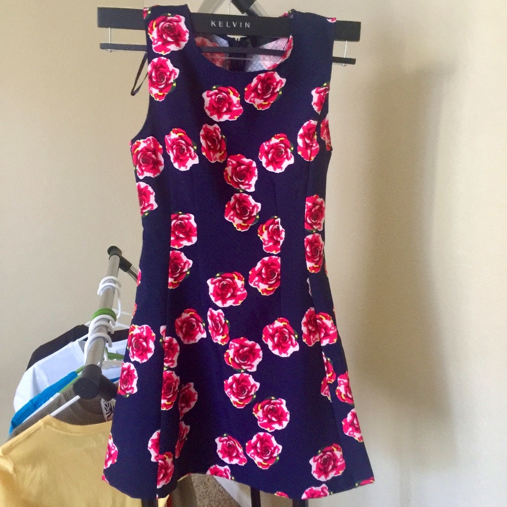 Cute Flare Dress with Roses